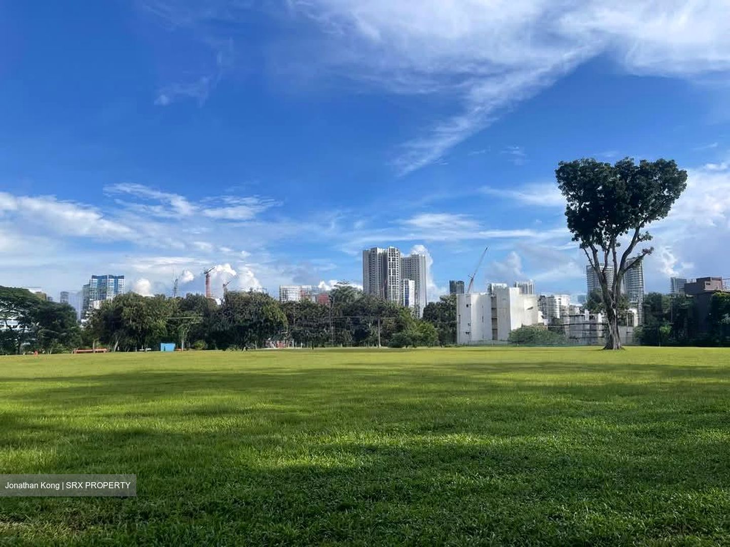 Blk 263 Toa Payoh Apex (Toa Payoh), HDB 3 Rooms #572623931